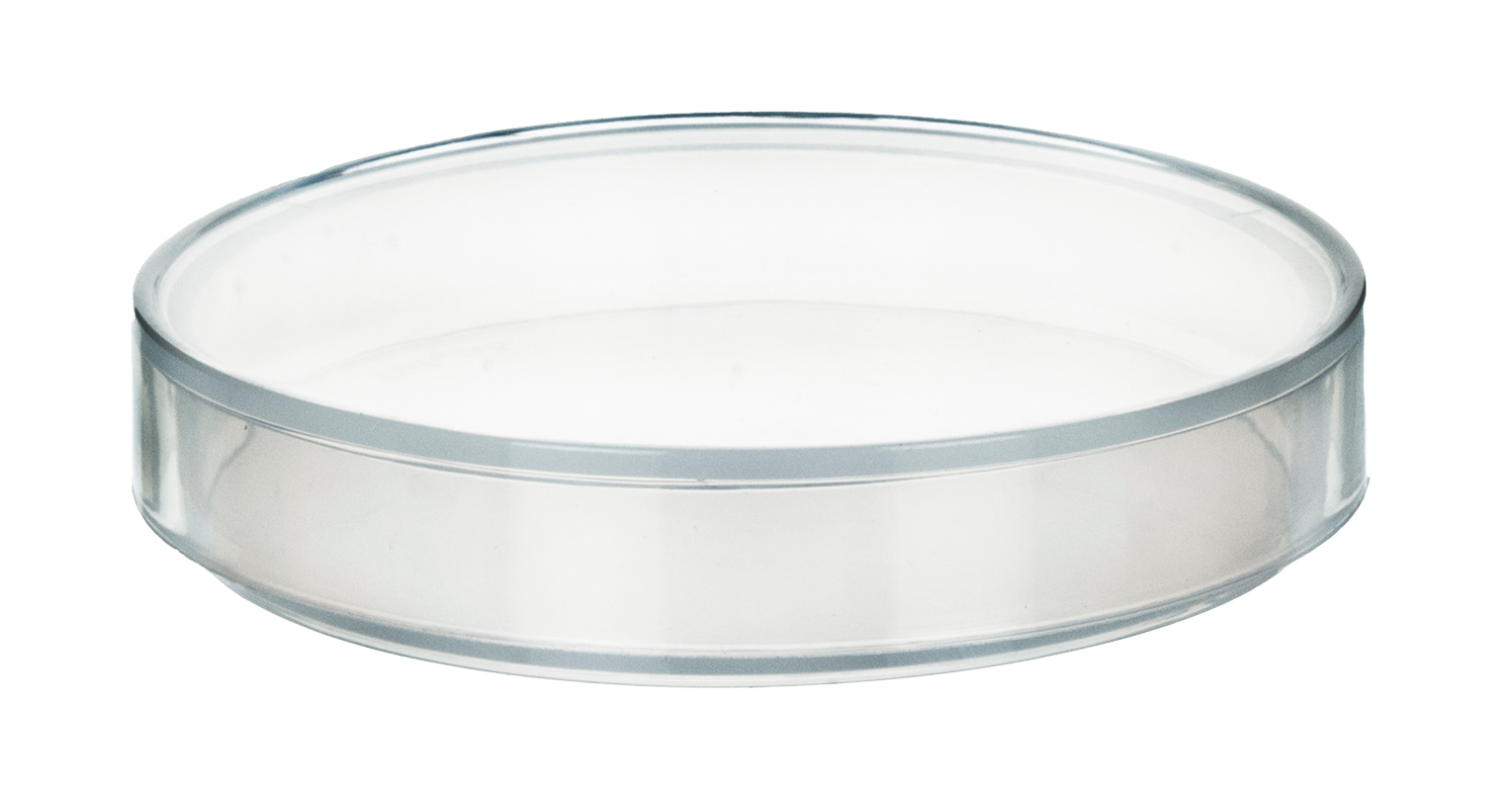 small glass petri dish