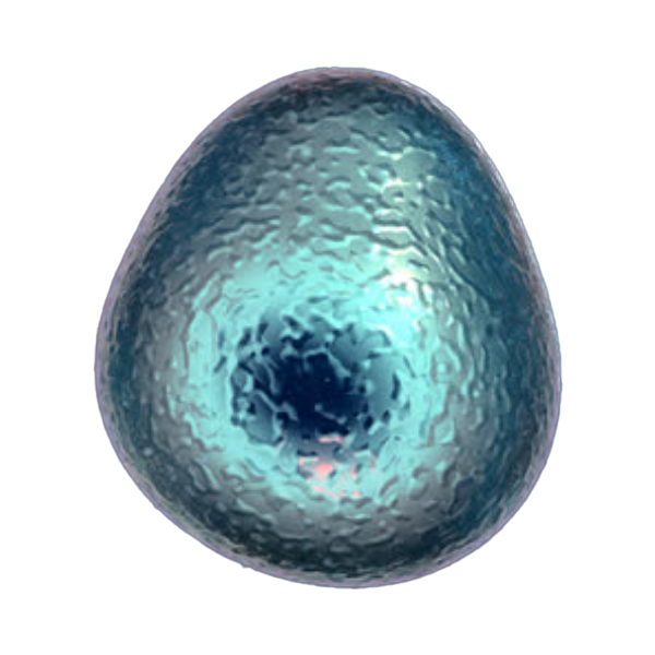 blue small biology creatures